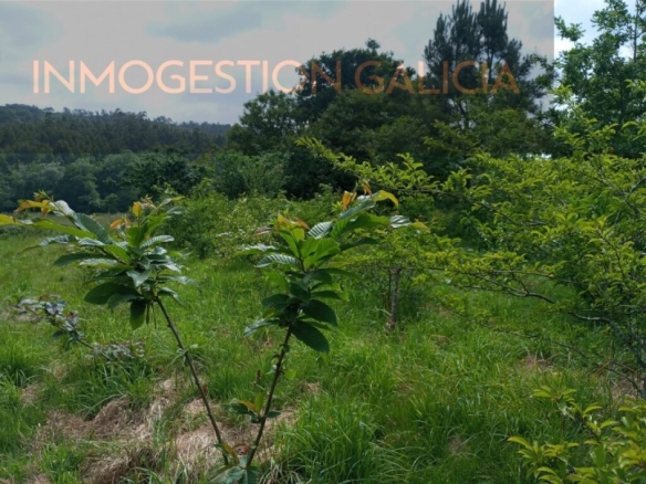Imagen 1 de Suelo rústico en Venta en A Laracha La Coruña