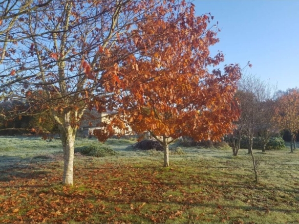 Imagen 4 de Adosada de Obra Nueva en Venta en Goiriz Lugo