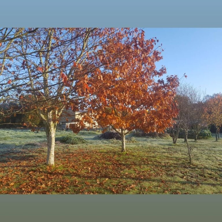 Imagen 4 de Adosada de Obra Nueva en Venta en Goiriz Lugo Imagen 4 de Adosada de Obra Nueva en Venta en Goiriz Lugo