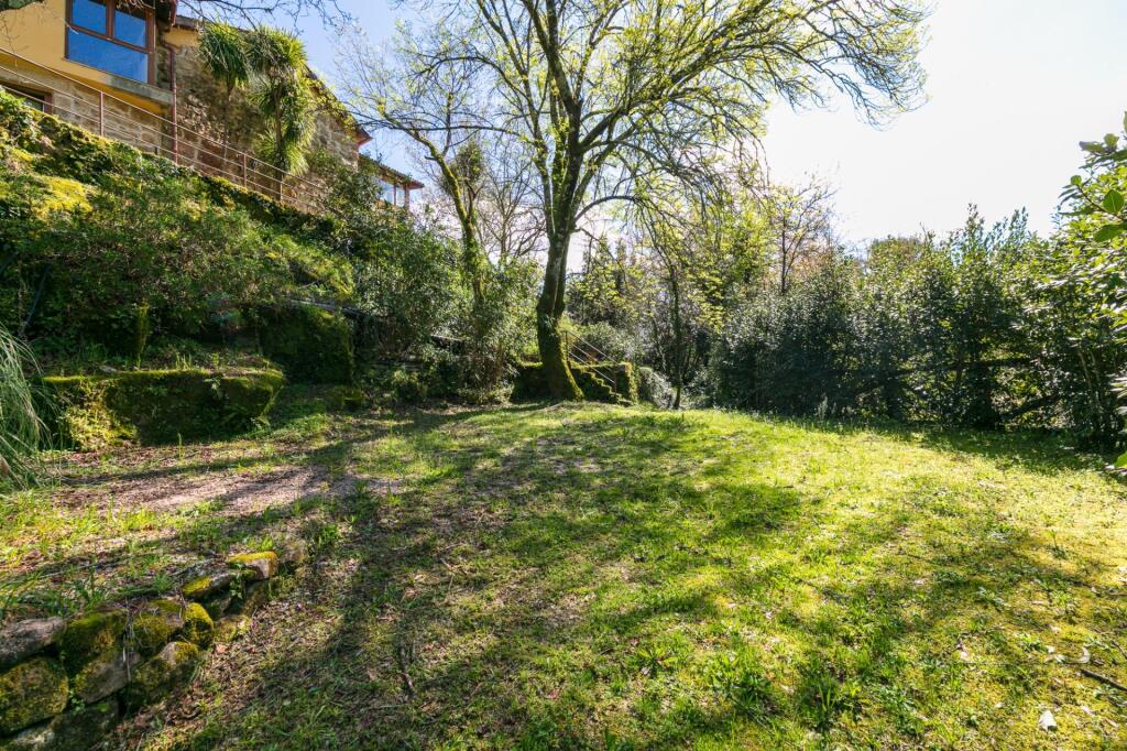 Invierte y Crea en un Entorno Único Invierte y Crea en un Entorno Único