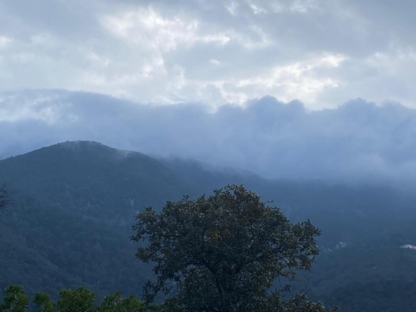 Imagen 2 de Casa de campo-Masía en Venta en Tordera Barcelona