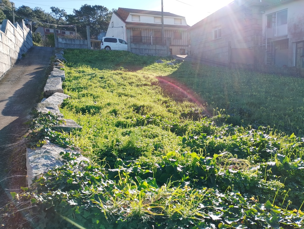 O Pontevedra O Pontevedra