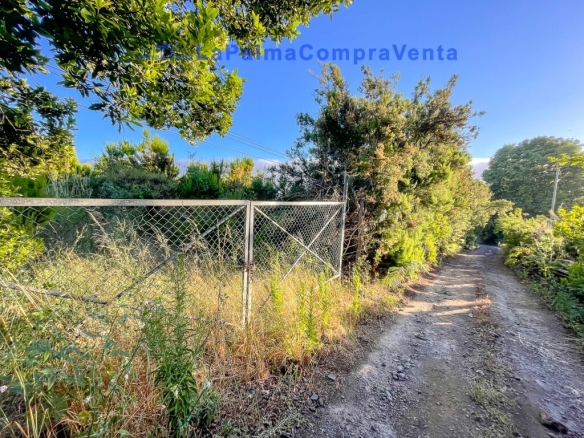 Imagen 2 de Suelo rústico en Venta en Roque Faro Santa Cruz de Tenerife