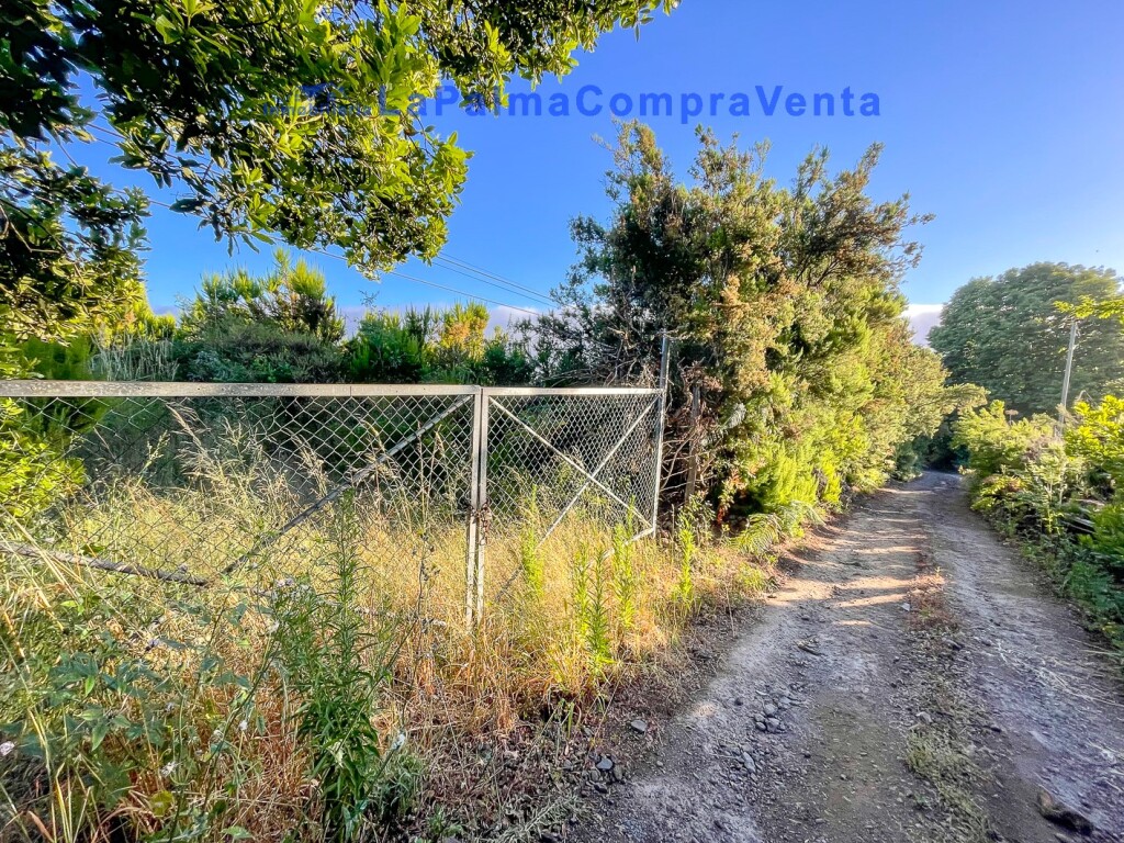 Imagen 2 de Suelo rústico en Venta en Roque Faro Santa Cruz de Tenerife Imagen 2 de Suelo rústico en Venta en Roque Faro Santa Cruz de Tenerife