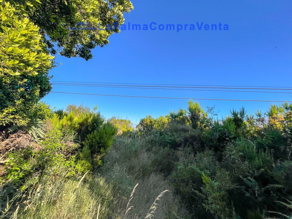 Imagen 3 de Suelo rústico en Venta en Roque Faro Santa Cruz de Tenerife Imagen 3 de Suelo rústico en Venta en Roque Faro Santa Cruz de Tenerife