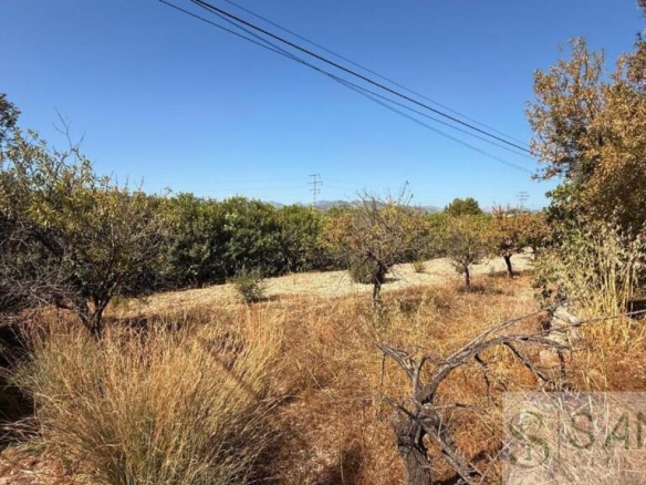 Imagen 3 de Suelo urbanizable en Venta en Javea/Xabia Alicante