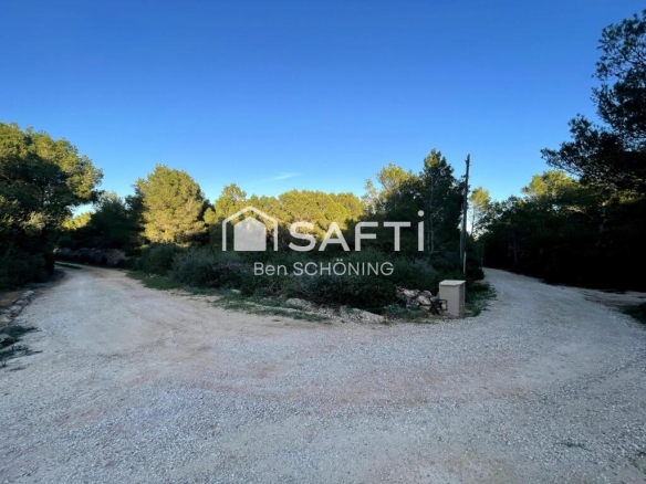 Imagen 4 de Parcela Rustica de 15000 m2 en Cala Morell