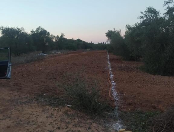 Imagen 4 de Subparcela de secano en Almensilla!!!!