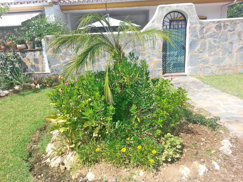 Imagen 4 de Piso en Venta en Marbella Málaga Imagen 4 de Piso en Venta en Marbella Málaga