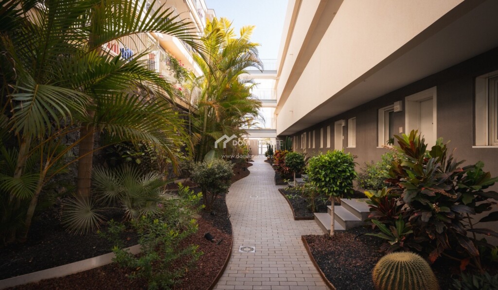 Imagen 3 de Ático en Venta en Adeje Santa Cruz de Tenerife Imagen 3 de Ático en Venta en Adeje Santa Cruz de Tenerife