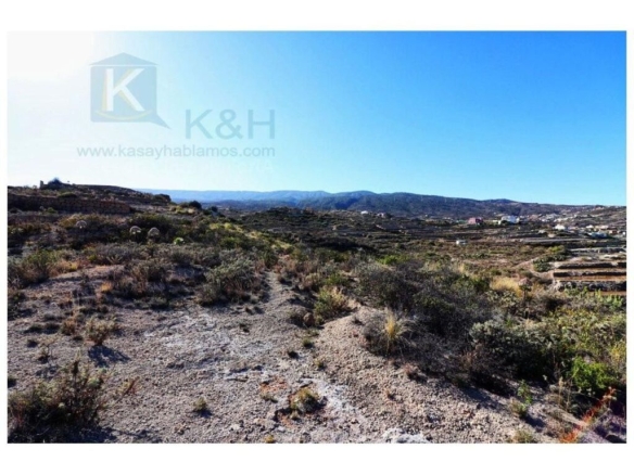 Imagen 2 de Gran terreno con huertas descansadas en Güimar