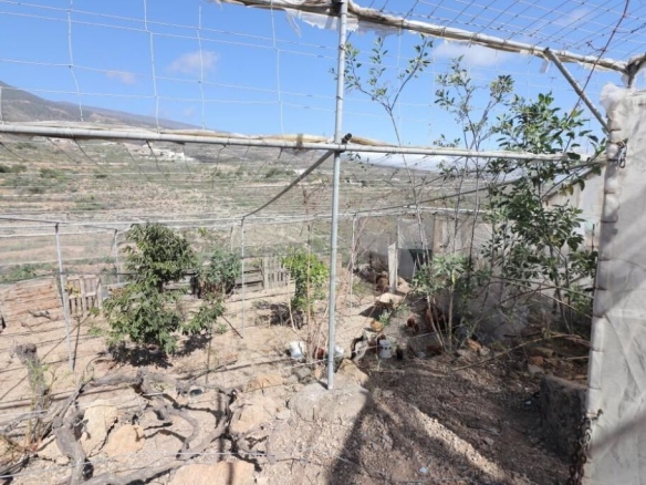 Imagen 1 de Terreno con construcción a reformar e invernaderos en Arico Viejo