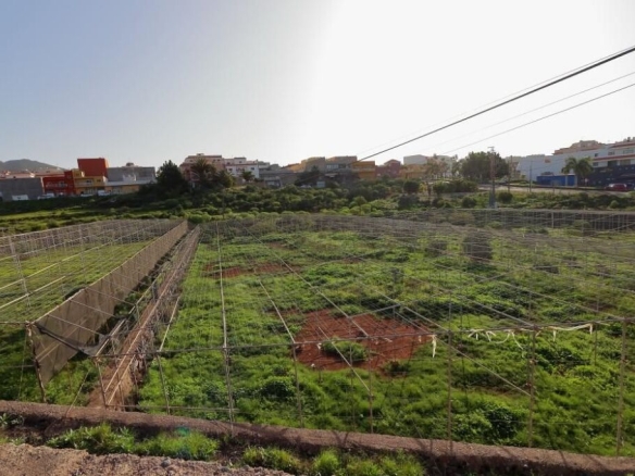 terreno rústico con excelentes accesos en Arona