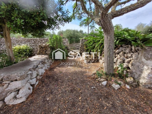 Imagen 4 de Encantadora casa de campo en Trebalúger con 2.396 m2 de terreno.