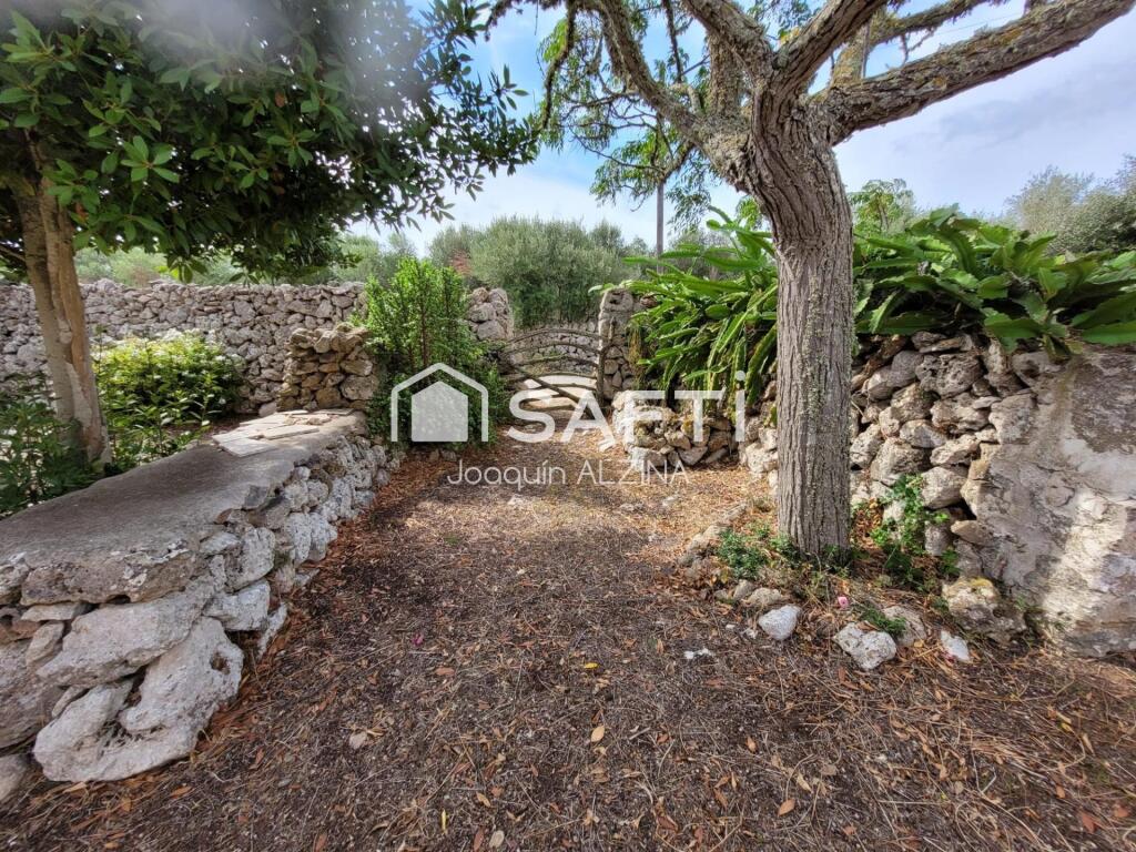 Imagen 4 de Encantadora casa de campo en Trebalúger con 2.396 m2 de terreno. Imagen 4 de Encantadora casa de campo en Trebalúger con 2.396 m2 de terreno.