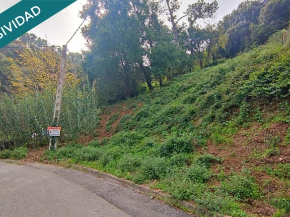 Imagen 2 de TERRENO URBANO DE 1195M2 EN TORRE VILETA