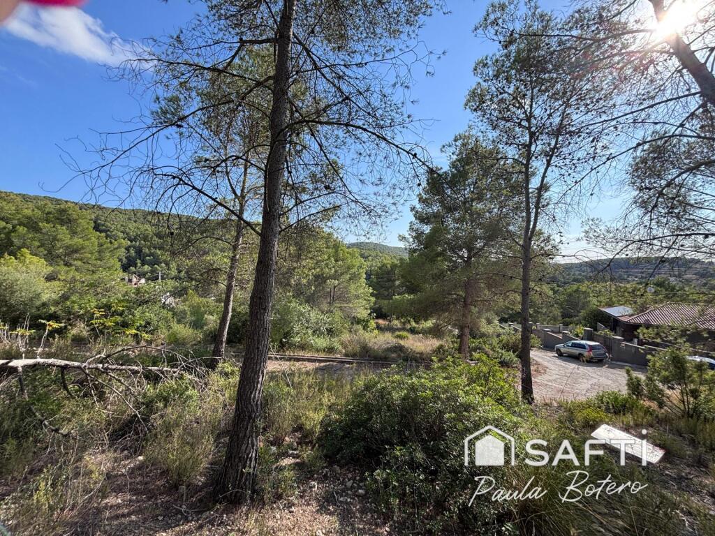 Sant Pere de Ribes.