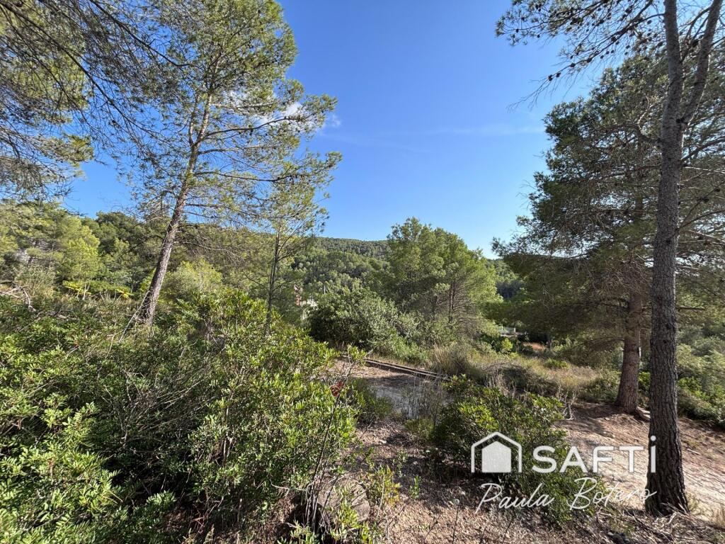 Sant Pere de Ribes.