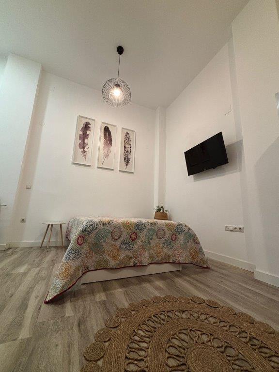 Imagen 3 de LOFT EN ALQUILER CONTRATO TEMPORAL HASTA 30 DE JUNIO EN ZONA BAILEN MIRAFLORES