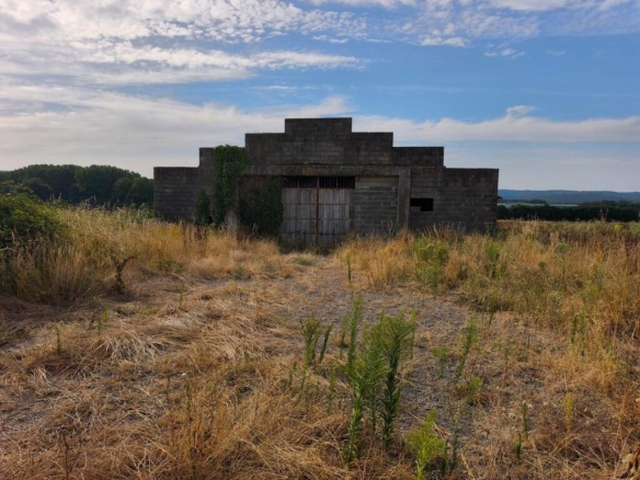 Imagen 2 de Se vende nave con finca de 28.000 metros cuadrados