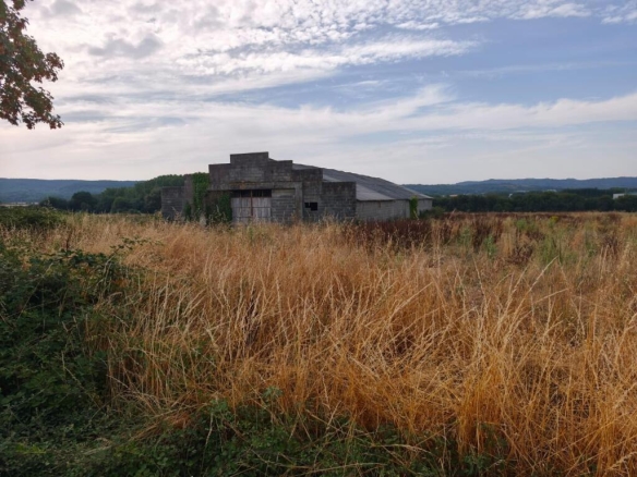 Imagen 3 de Se vende nave con finca de 28.000 metros cuadrados