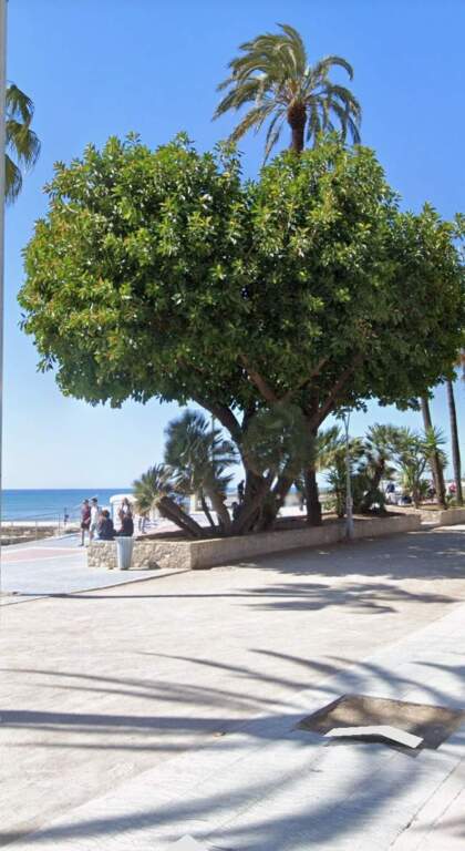 Imagen 3 de Local en Paseo de la Ribera de Sitges
