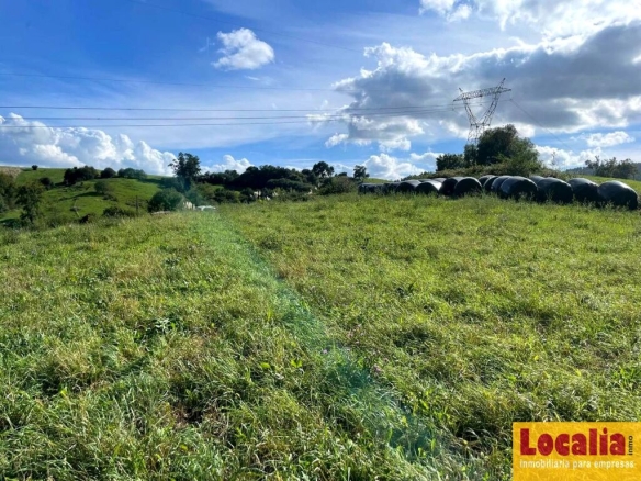 Imagen 2 de Finca Rústica en venta en VILLAESCUSA de 4487 m2