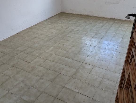 Imagen 4 de Casa de pueblo en Venta en Domingo Perez Toledo
