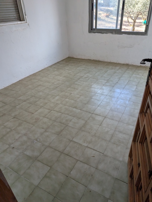 Imagen 4 de Casa de pueblo en Venta en Domingo Perez Toledo
