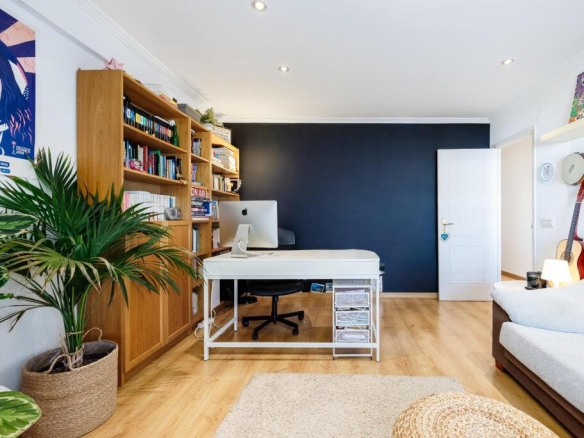 Luz y Potencial Real en la Calle Instituto Oceanográfico.