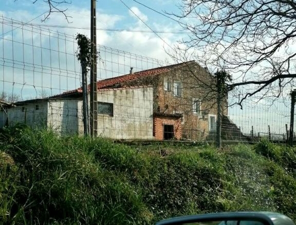 Imagen 2 de Amplios terrenos con vivienda