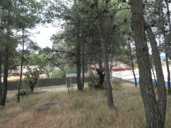 Imagen 3 de Parcela en Venta en Torres Torres Valencia