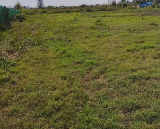 Imagen 3 de TERRENO RUSTICO EN PARTIDA DE RAFAL