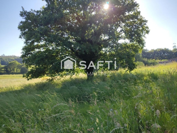 Imagen 4 de Finca edificable en LG de Gunín – A solo 15 minutos de Santiago de Compostela