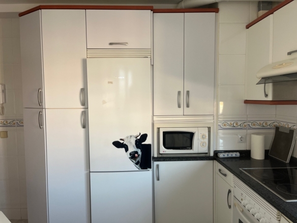 Imagen 4 de Piso en Venta en Valladolid Valladolid COVARESA