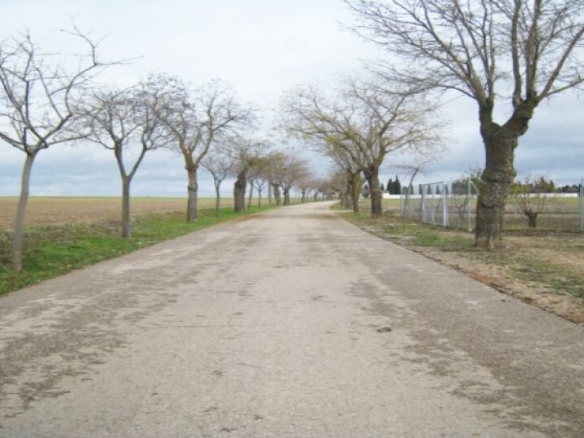 Imagen 1 de ¡ GRAN OPORTUNIDAD TERRENO RUSTICO!