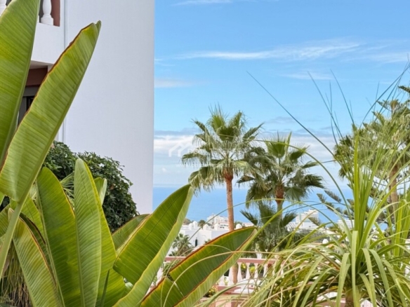 Imagen 3 de Casa de pueblo en Venta en Adeje Santa Cruz de Tenerife