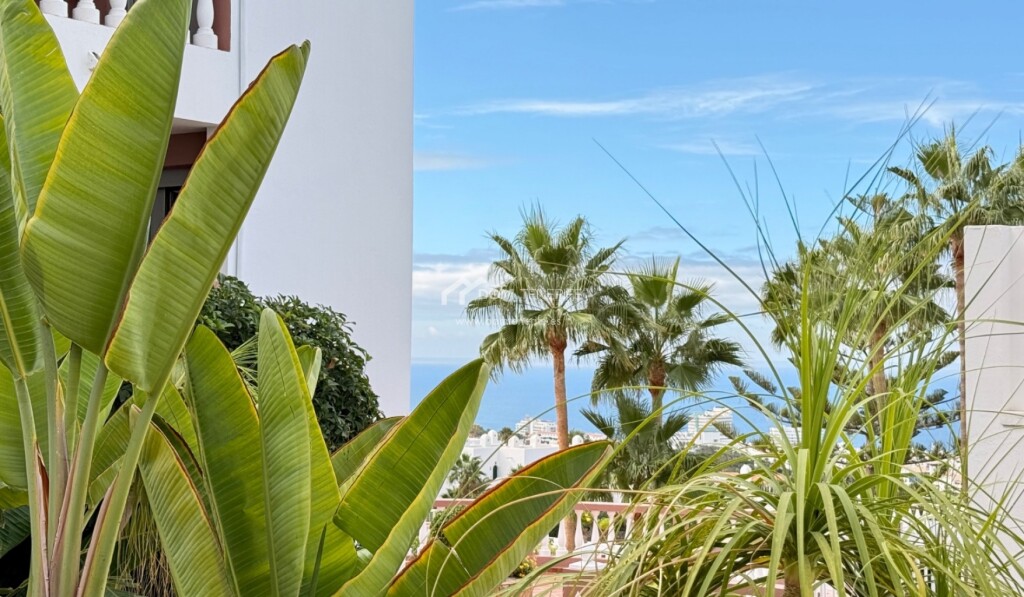 Imagen 3 de Casa de pueblo en Venta en Adeje Santa Cruz de Tenerife