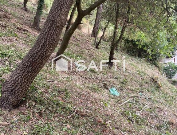 Imagen 2 de "El lugar ideal para vivir y crecer: descubre Torrevileta.