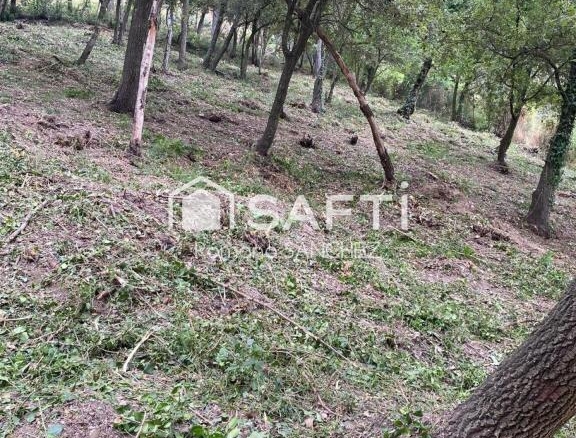 Imagen 3 de "El lugar ideal para vivir y crecer: descubre Torrevileta.