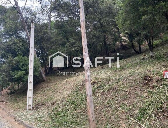 Imagen 4 de "El lugar ideal para vivir y crecer: descubre Torrevileta.