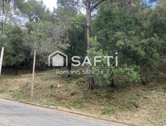 Imagen 1 de "El lugar ideal para vivir y crecer: descubre Torrevileta.