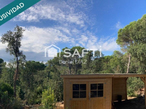 Imagen 2 de El terreno de tus sueños.