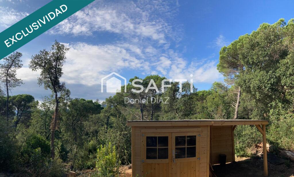 Imagen 2 de El terreno de tus sueños. Imagen 2 de El terreno de tus sueños.