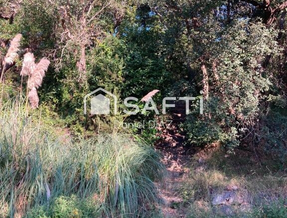 Imagen 3 de El terreno de tus sueños.