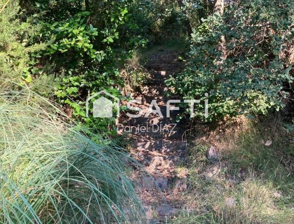 Imagen 4 de El terreno de tus sueños.