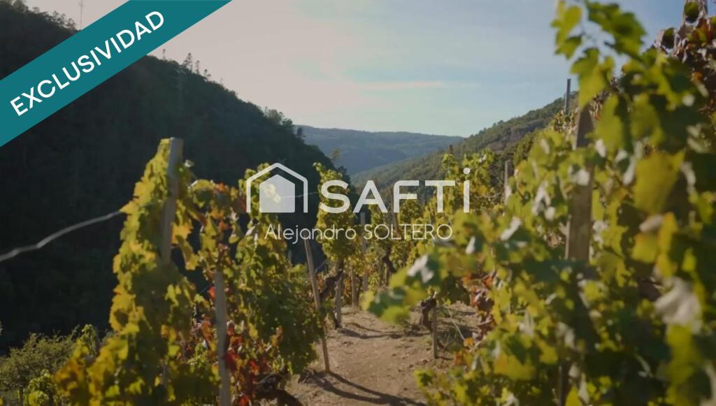 Imagen 2 de Galicia auténtica: invierte en paraíso natural. Imagen 2 de Galicia auténtica: invierte en paraíso natural.