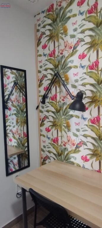 Imagen 4 de AMPLIA VIVIENDA EN RENTABILIDAD.-3.300 € AL MES Imagen 4 de AMPLIA VIVIENDA EN RENTABILIDAD.-3.300 € AL MES