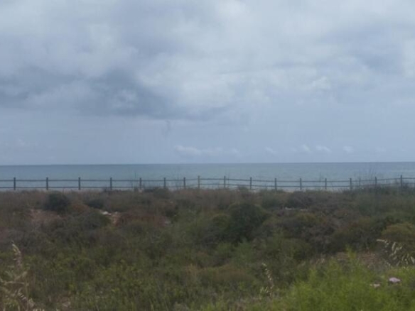 Imagen 2 de Chalet con piscina