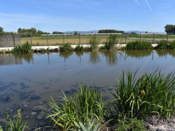 Imagen 2 de Magnifica finca rustica en el Parque natural del Delta del Ebro!